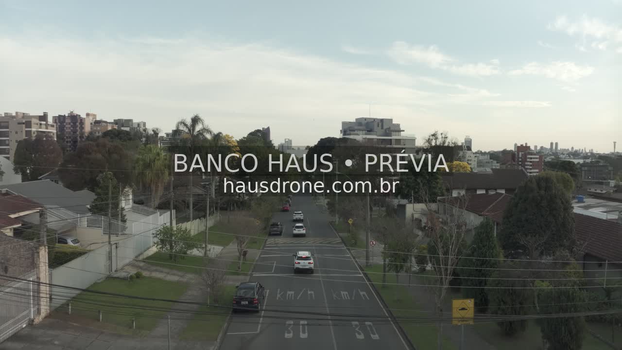 Avenida arborizada e circulação de veículos — Ahú em Curitiba, Paraná.