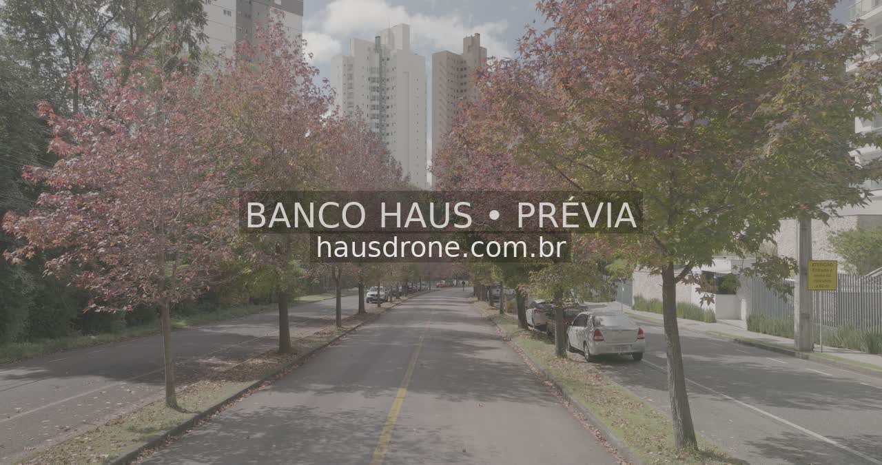 Rua com árvores de folhagem avermelhada — Ecoville em Curitiba, Paraná.