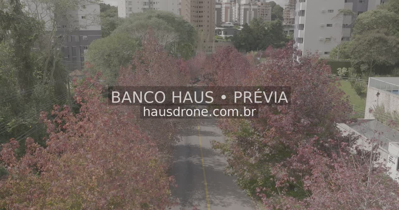 Rua com árvores de folhagem avermelhada — Ecoville em Curitiba, Paraná.