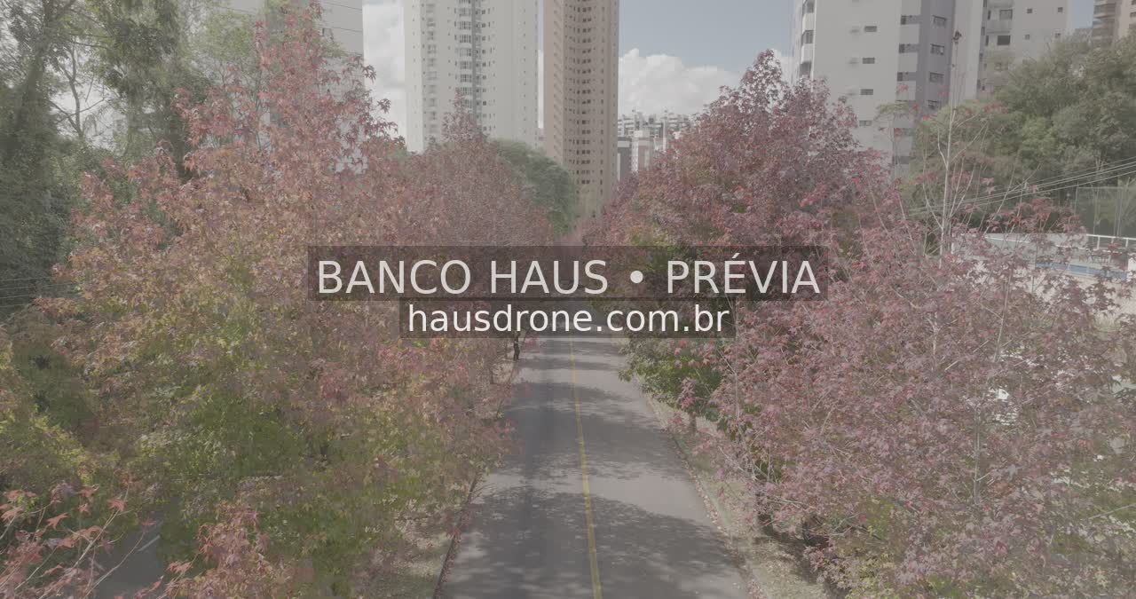 Rua com árvores de folhagem avermelhada — Ecoville em Curitiba, Paraná.