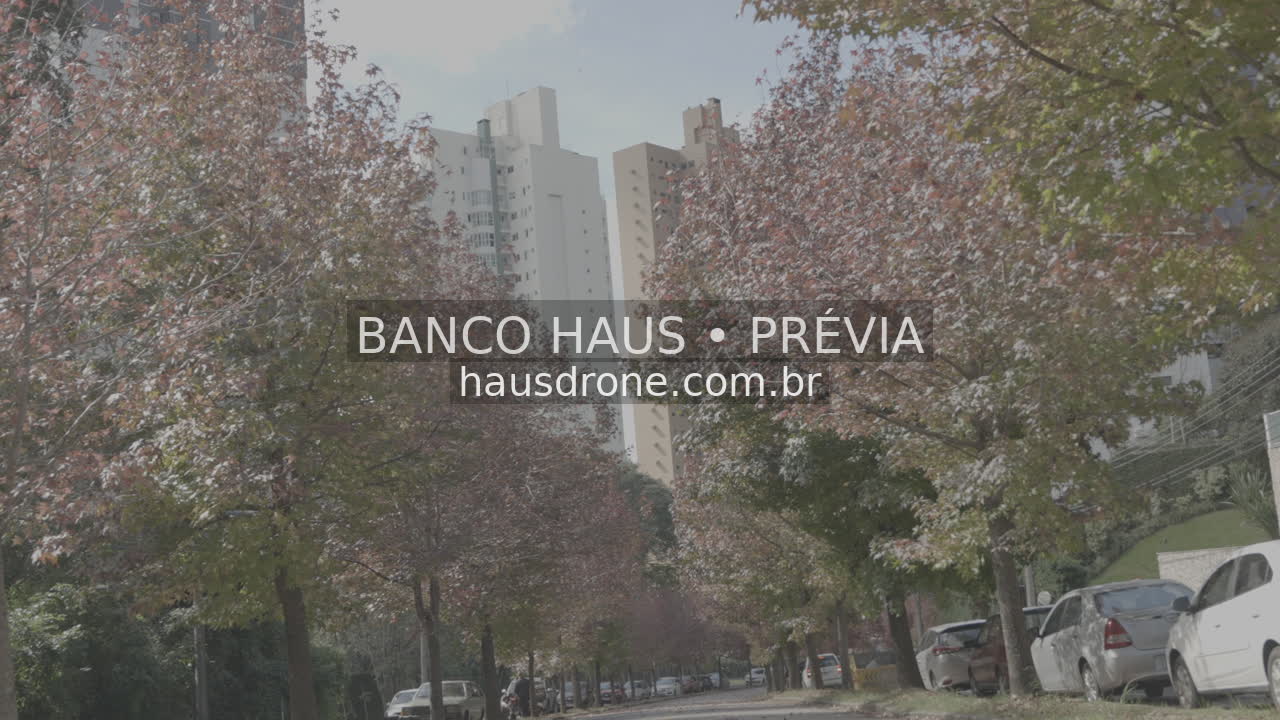 Rua com árvores de folhagem avermelhada — Ecoville em Curitiba, Paraná.