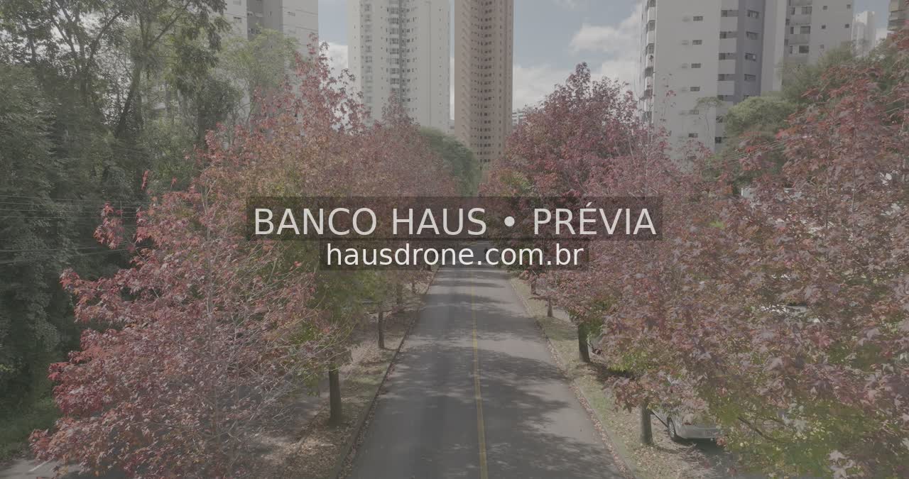 Rua com árvores de folhagem avermelhada — Ecoville em Curitiba, Paraná.
