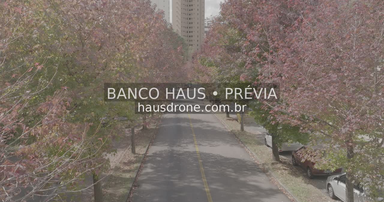 Rua com árvores de folhagem avermelhada — Ecoville em Curitiba, Paraná.