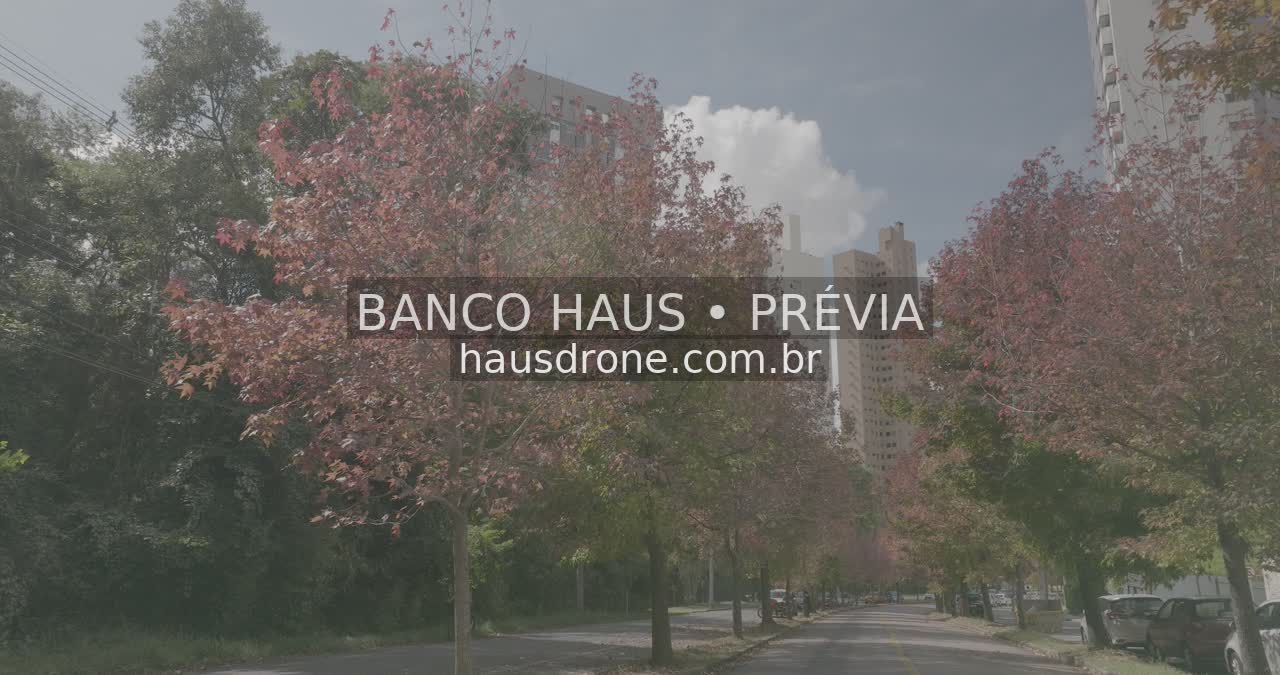 Rua com árvores de folhagem avermelhada — Ecoville em Curitiba, Paraná.