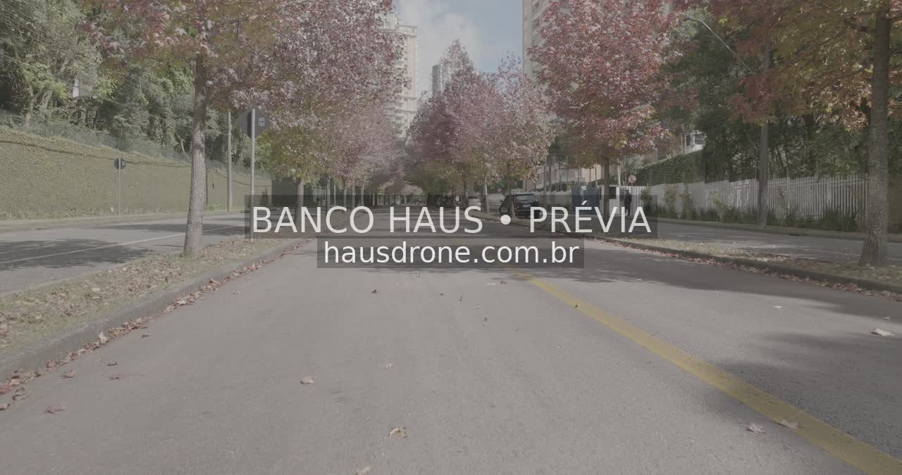 Rua com árvores de folhagem avermelhada — Ecoville em Curitiba, Paraná.