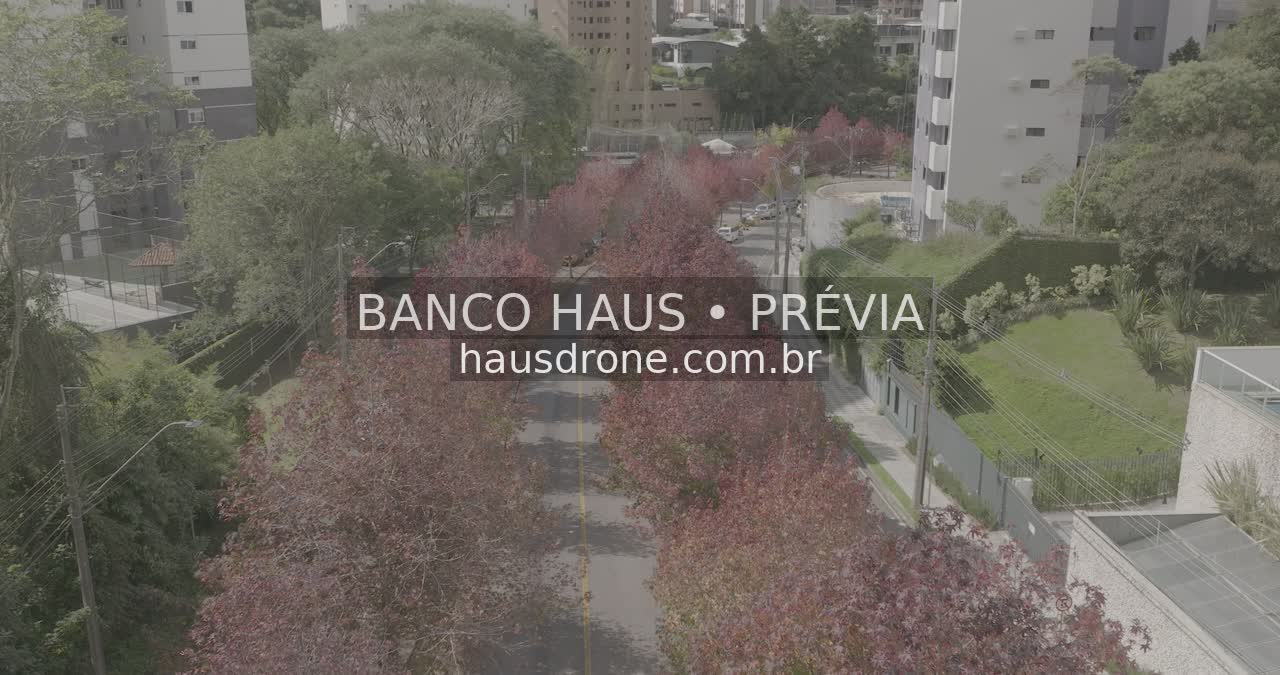 Rua com árvores de folhagem avermelhada — Ecoville em Curitiba, Paraná.