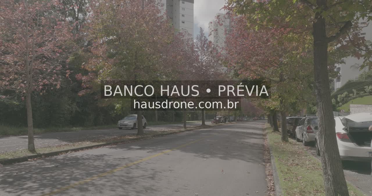 Rua com árvores de folhagem avermelhada — Ecoville em Curitiba, Paraná.