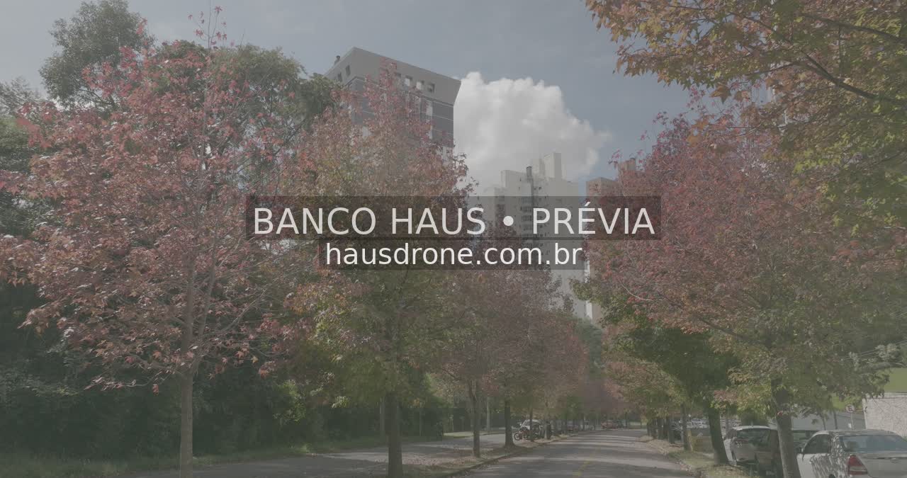 Rua com árvores de folhagem avermelhada — Ecoville em Curitiba, Paraná.
