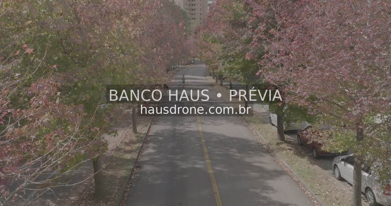 Rua com árvores de folhagem avermelhada — Ecoville em Curitiba, Paraná.