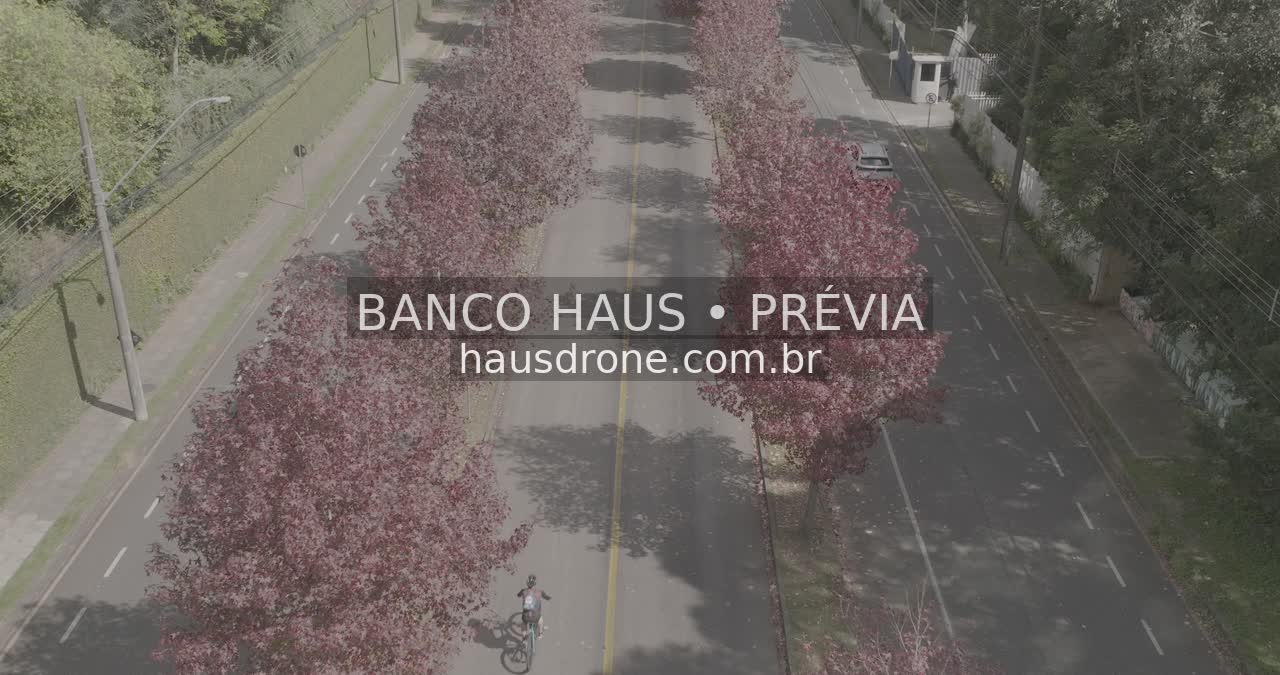 Rua com árvores de folhagem avermelhada — Ecoville em Curitiba, Paraná.