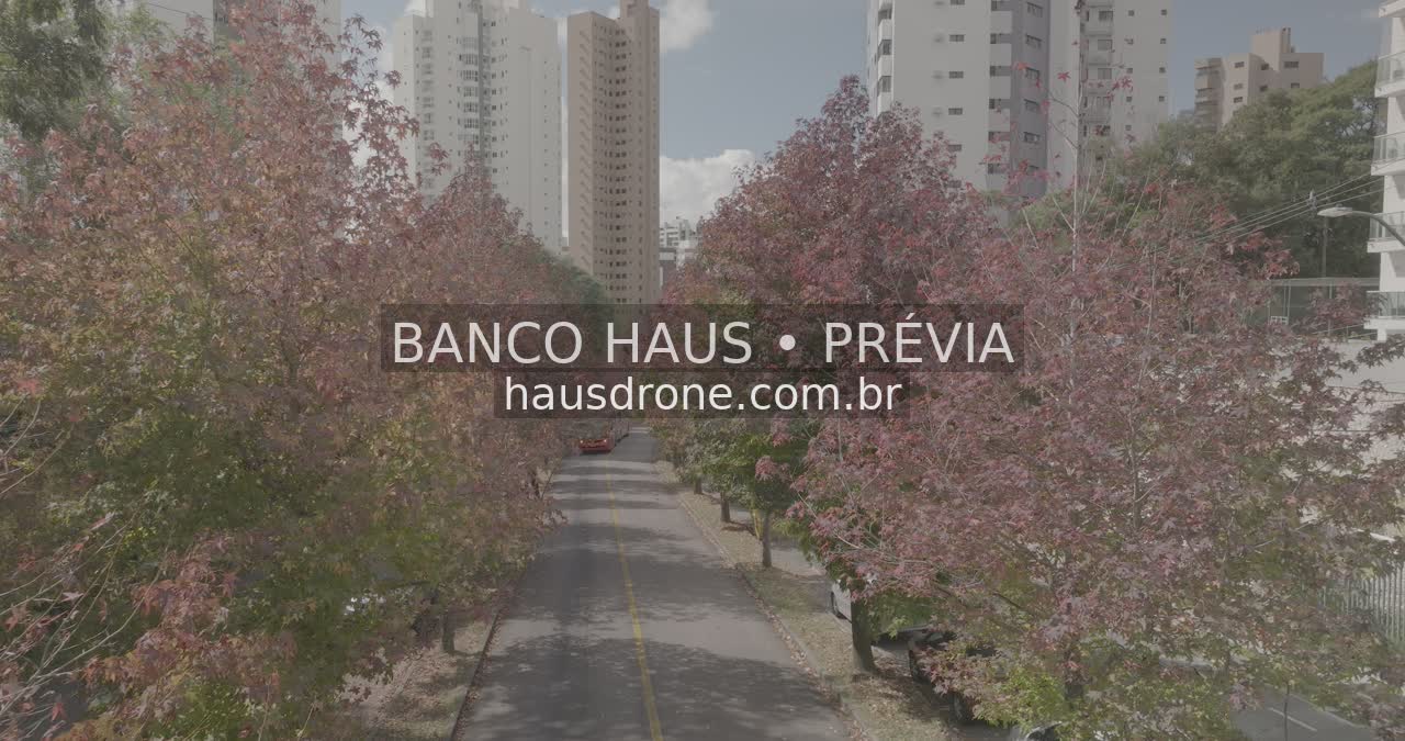 Rua com árvores de folhagem avermelhada — Ecoville em Curitiba, Paraná.