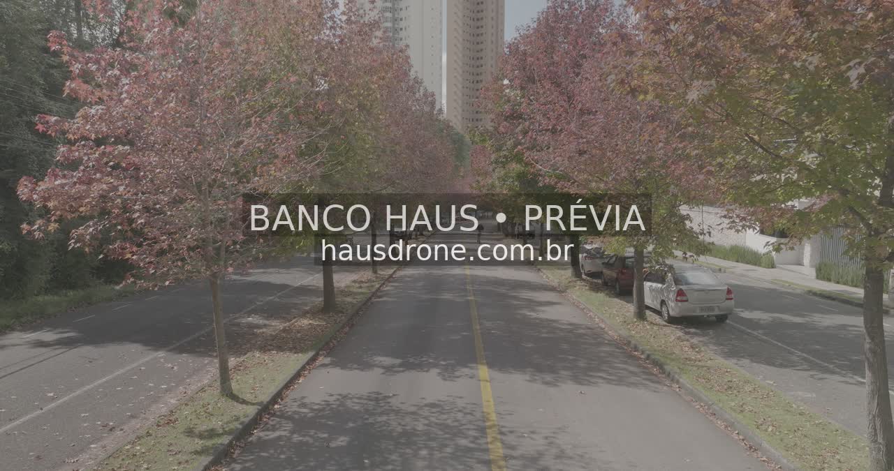 Rua com árvores de folhagem avermelhada — Ecoville em Curitiba, Paraná.
