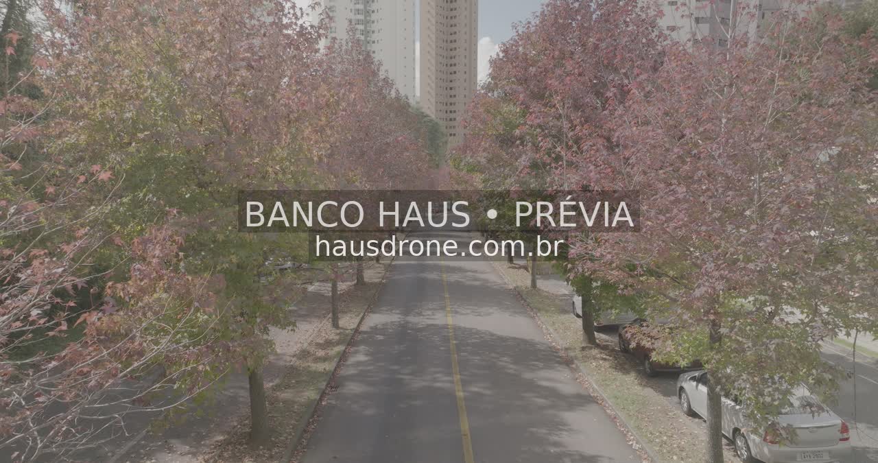 Rua com árvores de folhagem avermelhada — Ecoville em Curitiba, Paraná.