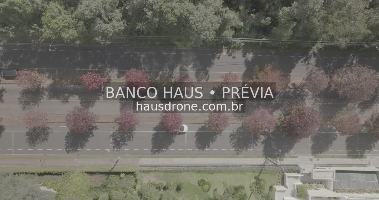 Rua com árvores de folhagem avermelhada — Ecoville em Curitiba, Paraná.