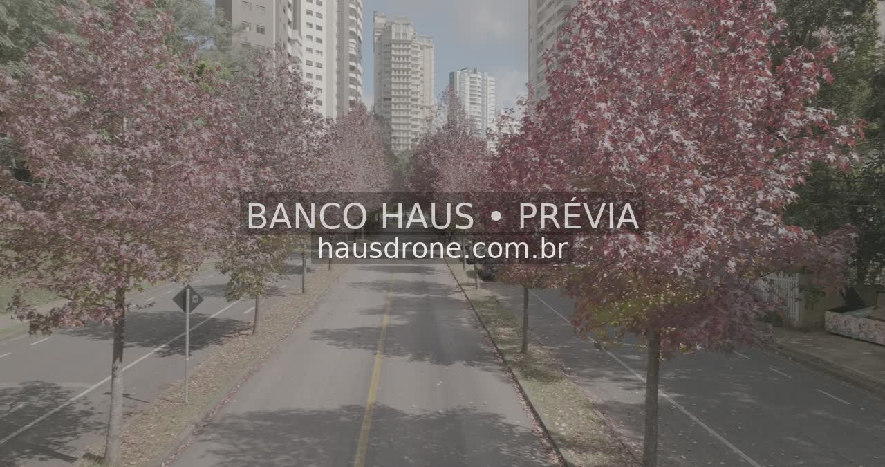 Rua com árvores de folhagem avermelhada — Ecoville em Curitiba, Paraná.