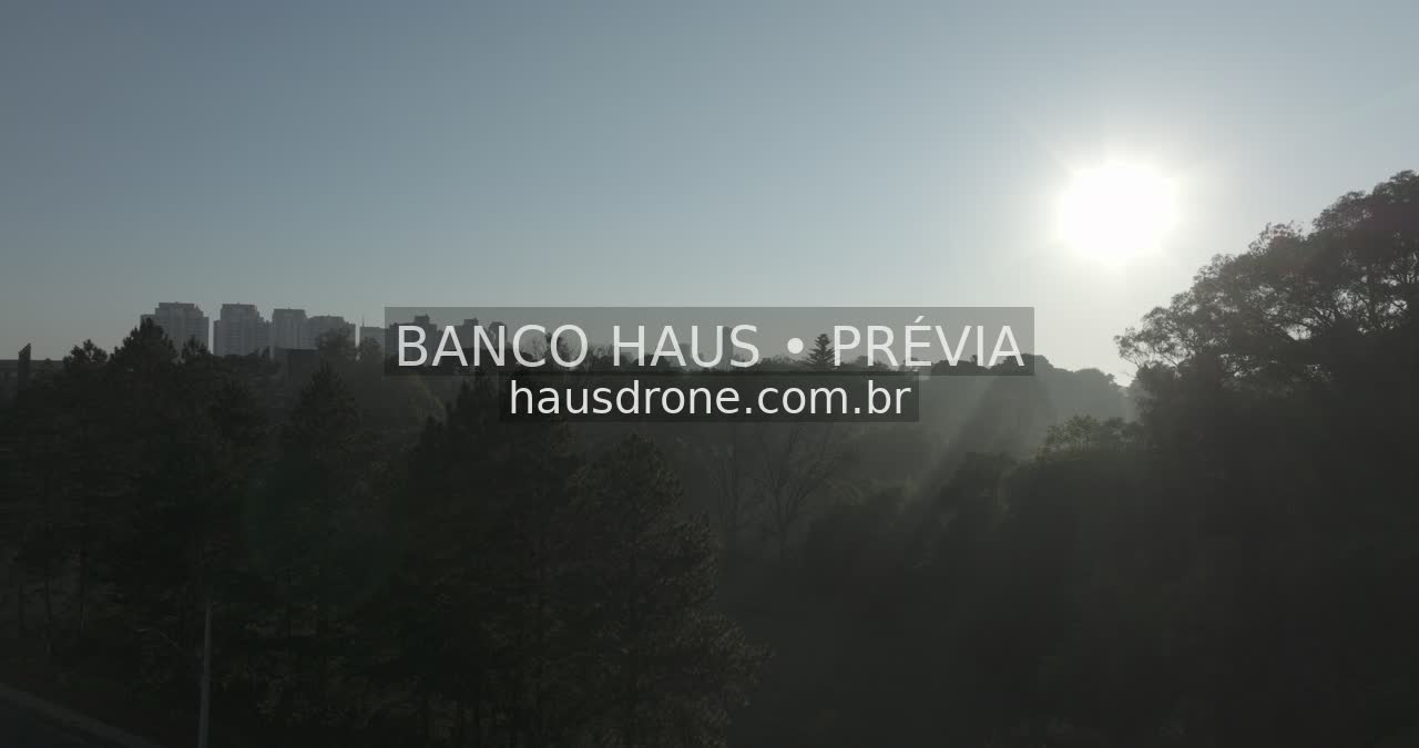 Sol sobre a vegetação urbana — Ecoville em Curitiba, Paraná.