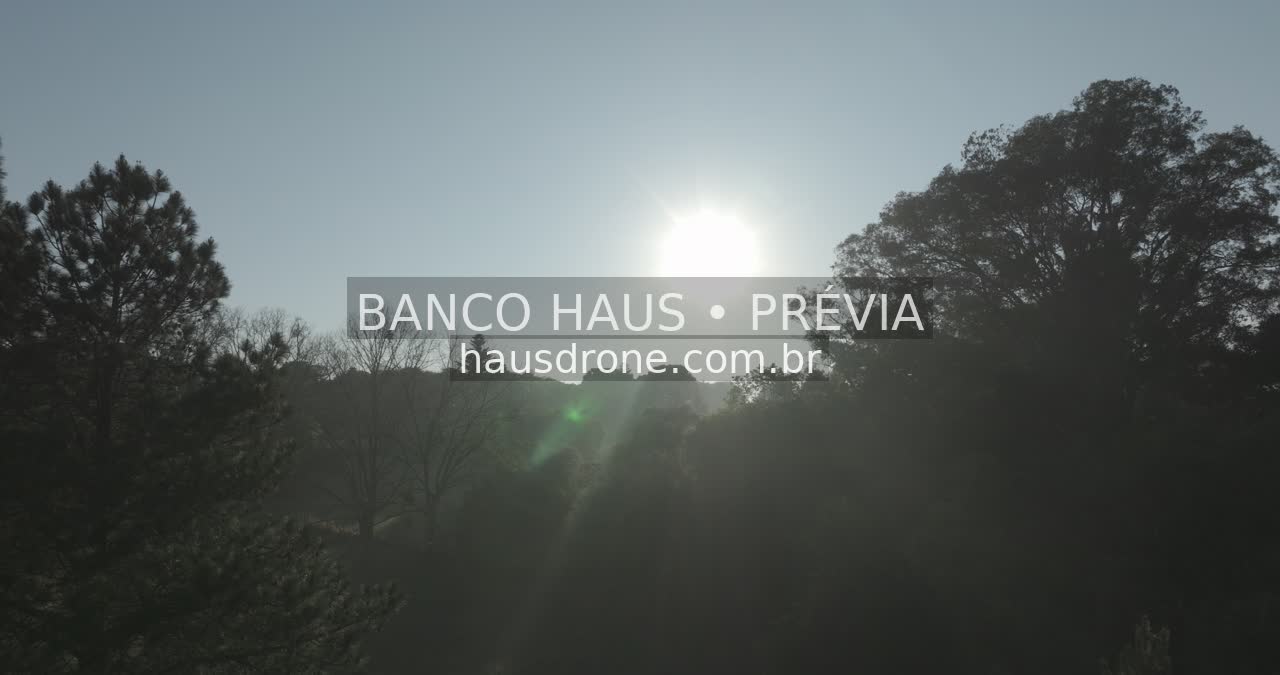 Sol sobre a vegetação urbana — Ecoville em Curitiba, Paraná.