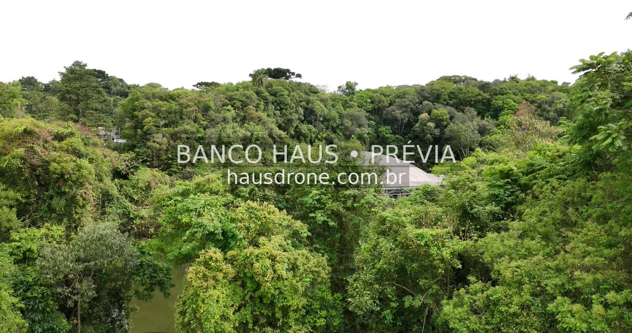 Vegetação ao redor do teatro — Ópera de Arame em Curitiba, Paraná.