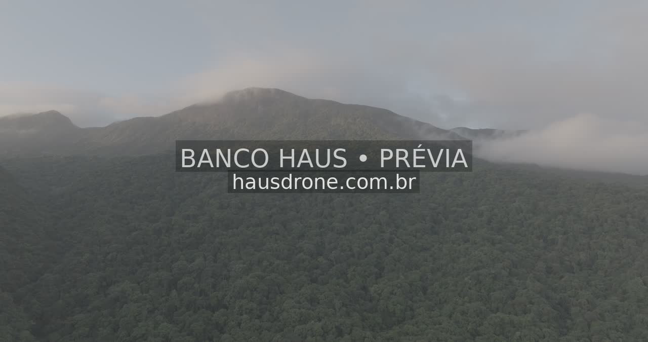 Paisagem serrana e vegetação no litoral do Paraná — Região de Paranaguá, Paraná.