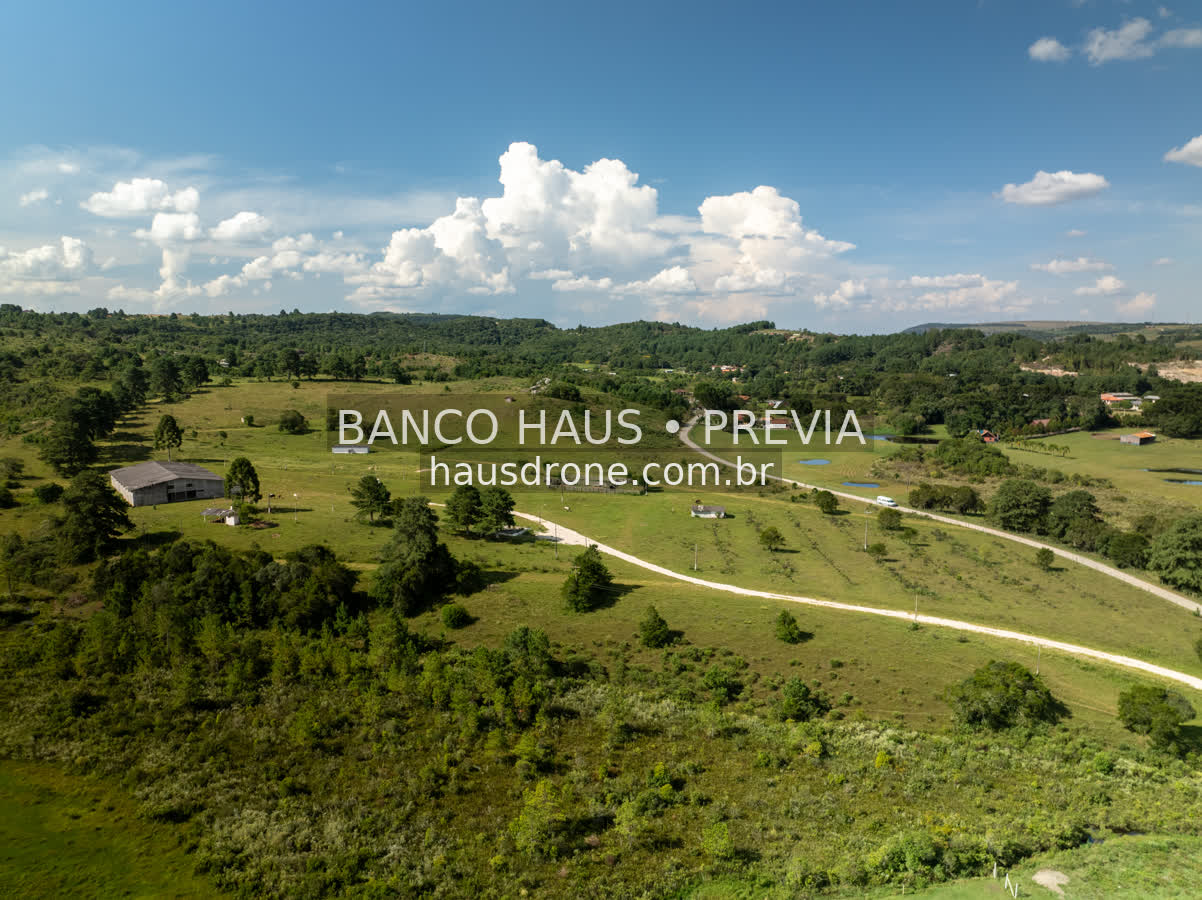 Campos e paisagem rural — São Luiz do Purunã, Paraná, Paraná.