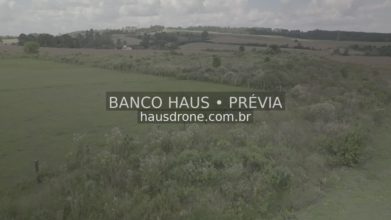 Campos e paisagem rural — São Luiz do Purunã, Paraná, Paraná.