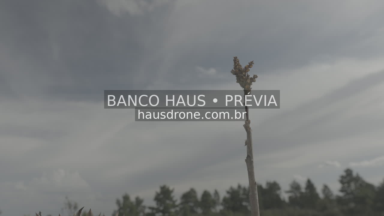 Campos e paisagem rural — São Luiz do Purunã, Paraná, Paraná.