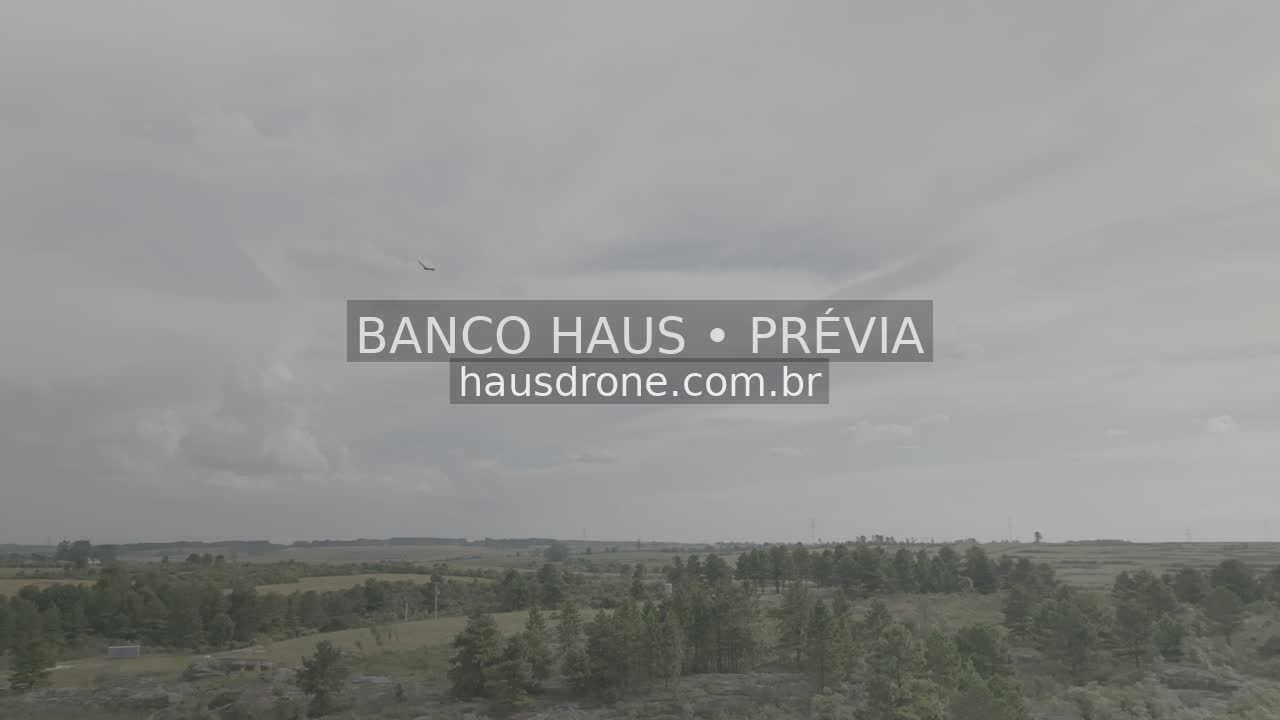 Campos e paisagem rural — São Luiz do Purunã, Paraná, Paraná.