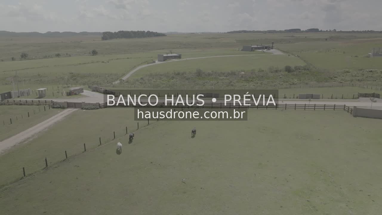 Campos e paisagem rural — São Luiz do Purunã, Paraná, Paraná.