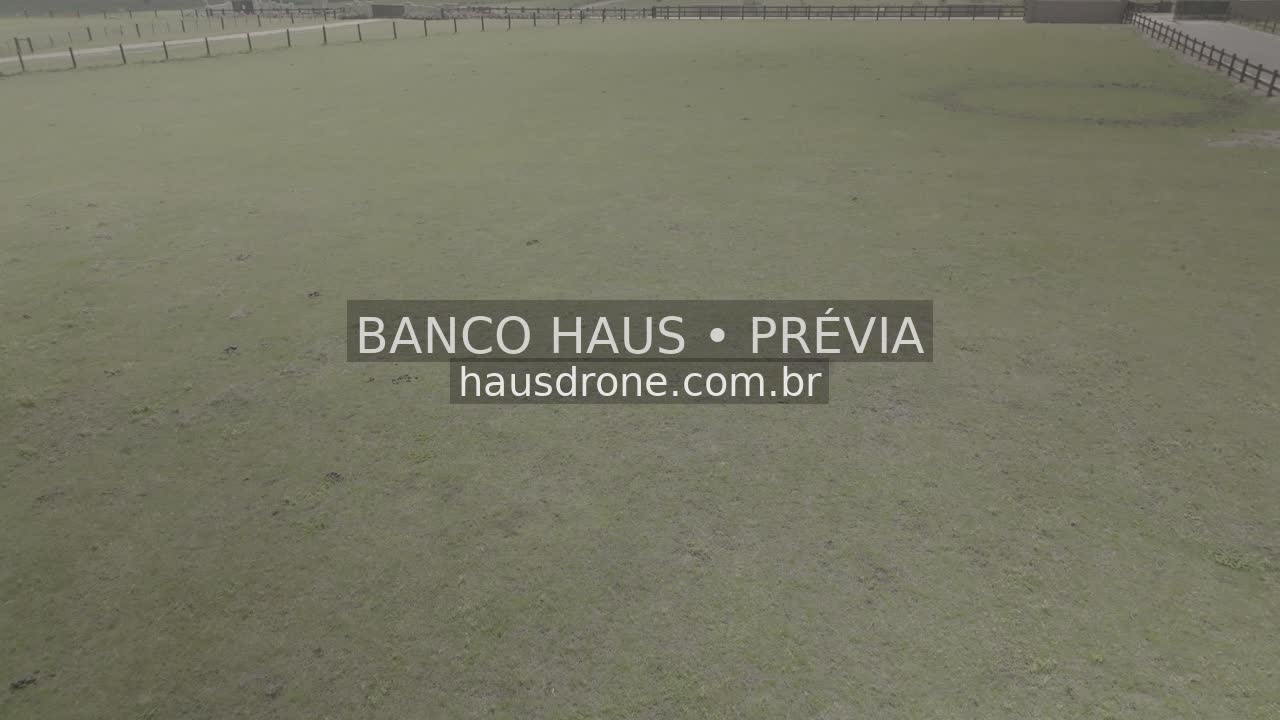 Cavalos no campo — São Luiz do Purunã, Paraná, Paraná.
