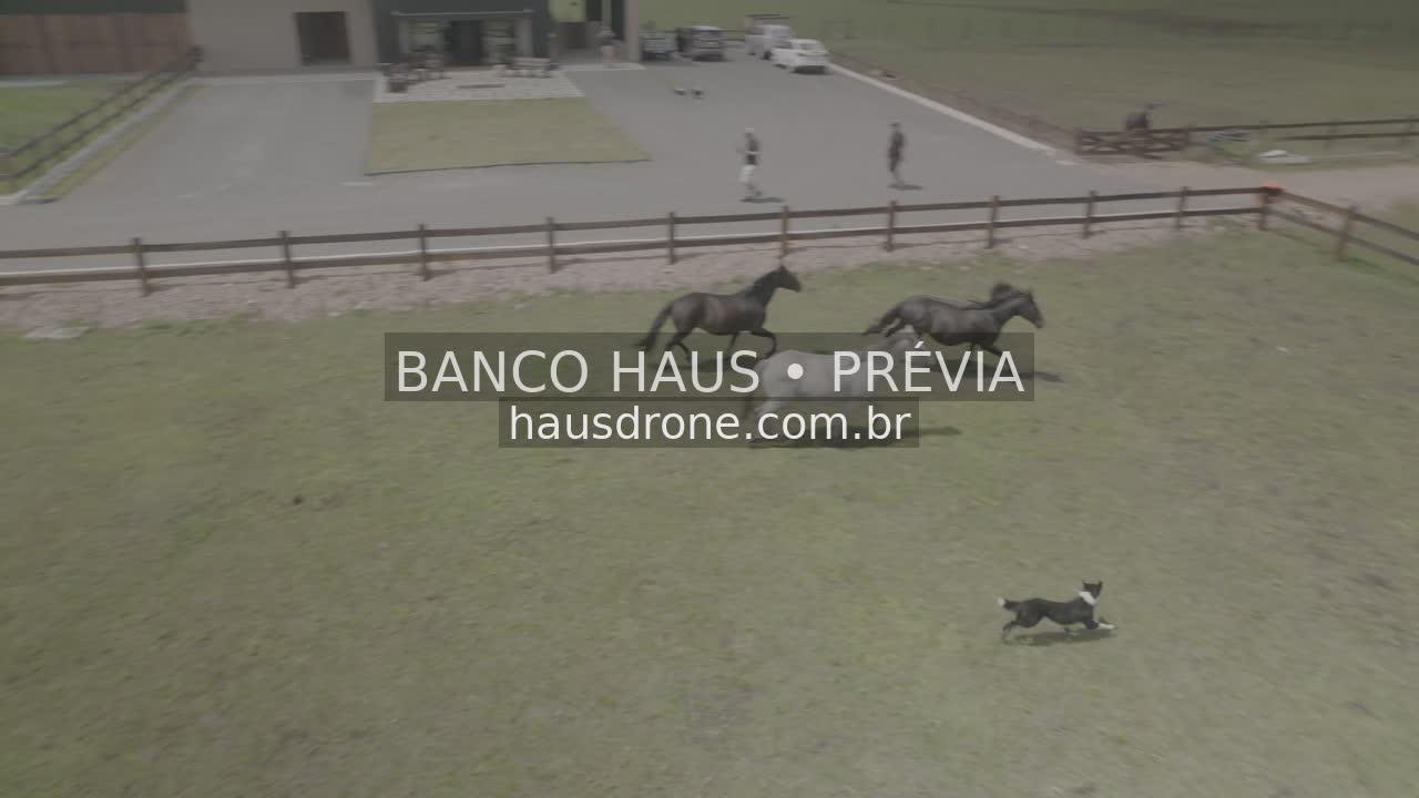 Construções e áreas verdes no ambiente rural — São Luiz do Purunã, Paraná, Paraná.