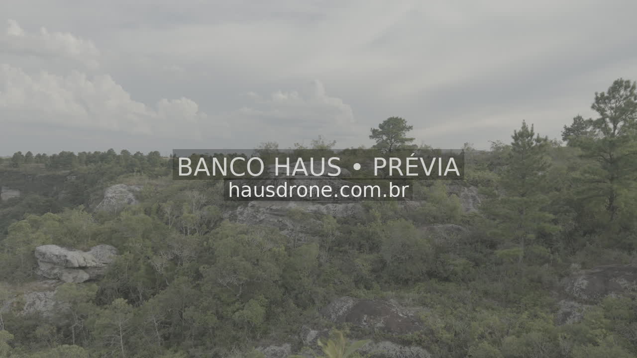 Escarpas, campos e mata em vista aérea — São Luiz do Purunã, Paraná, Paraná.
