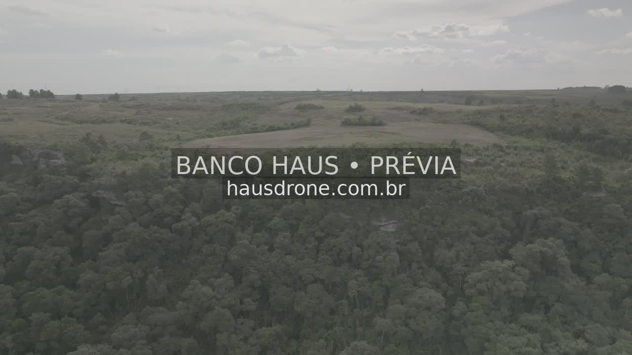 Escarpas, campos e mata em vista aérea — São Luiz do Purunã, Paraná, Paraná.