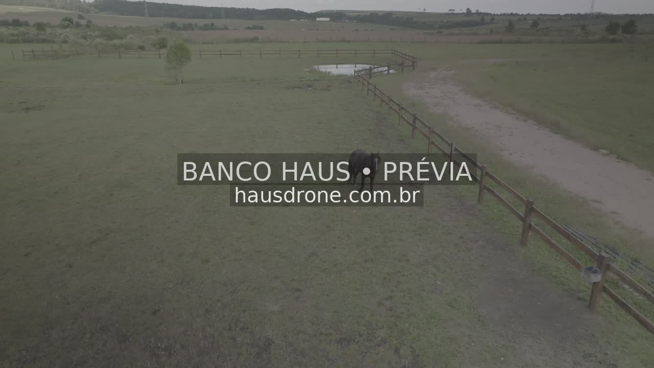 Estrada rural e cercas entre campos — São Luiz do Purunã, Paraná, Paraná.