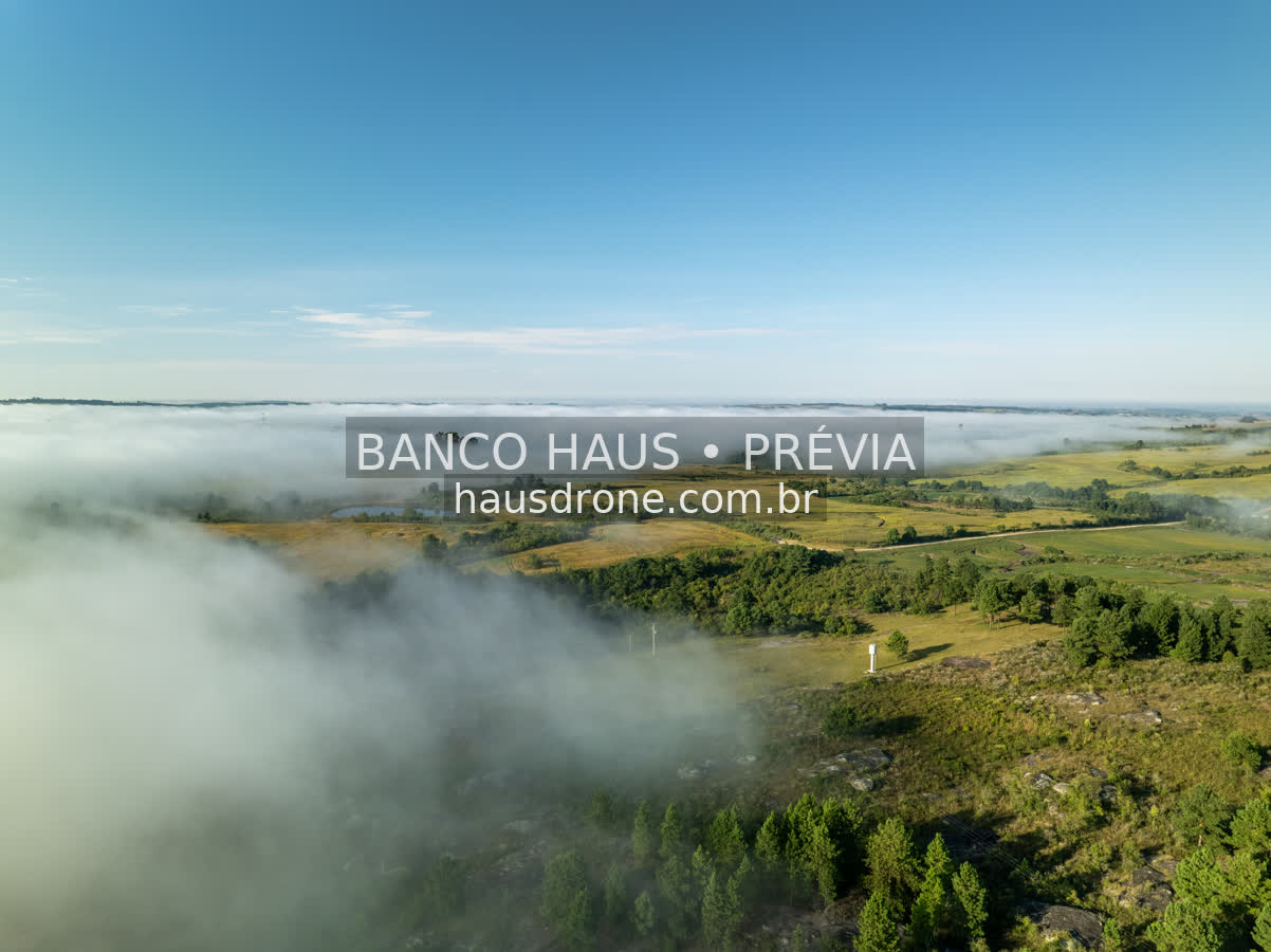 Paisagem rural com neblina e luz solar — São Luiz do Purunã, Paraná, Paraná.