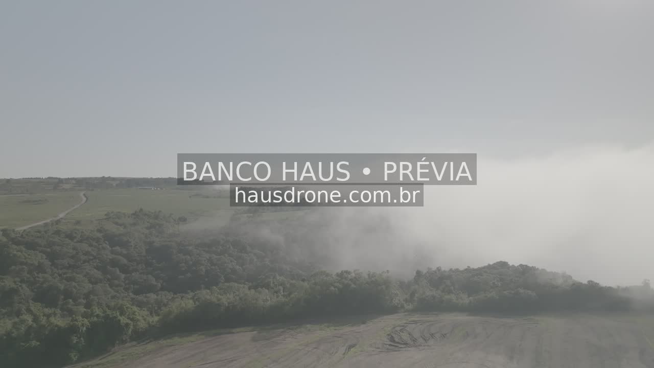 Paisagem rural com neblina e luz solar — São Luiz do Purunã, Paraná, Paraná.