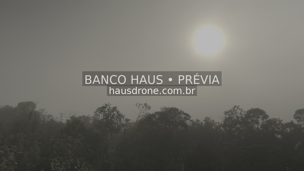 Paisagem rural com neblina e luz solar — São Luiz do Purunã, Paraná, Paraná.