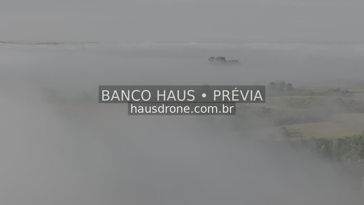 Paisagem rural com neblina e luz solar — São Luiz do Purunã, Paraná, Paraná.