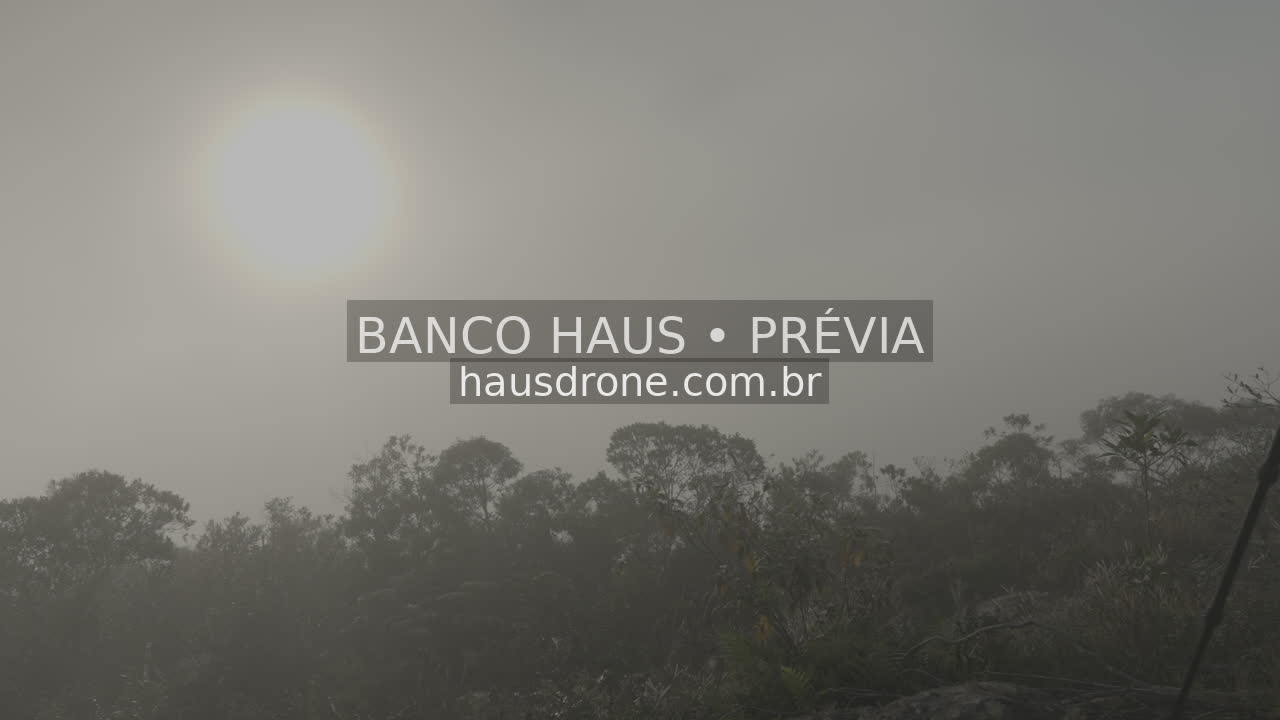 Paisagem rural com neblina e luz solar — São Luiz do Purunã, Paraná, Paraná.