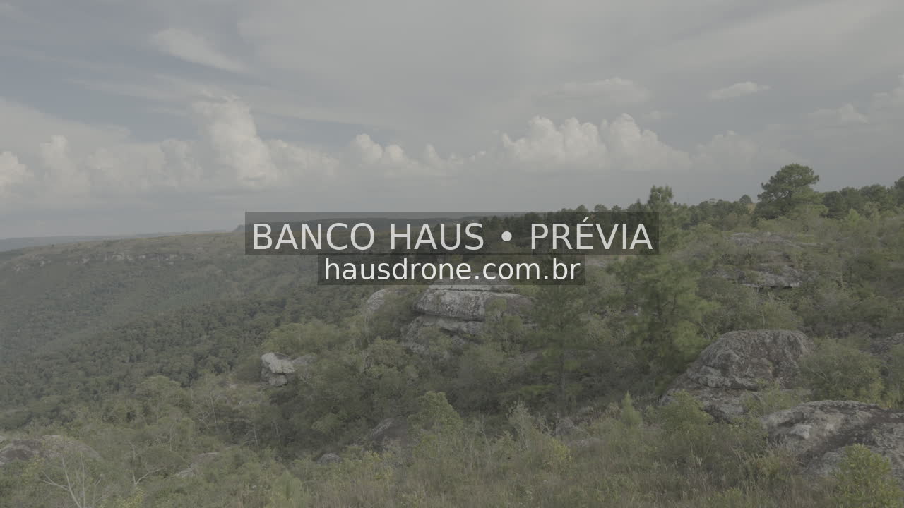 Vegetação e detalhes da paisagem campestre — São Luiz do Purunã, Paraná, Paraná.