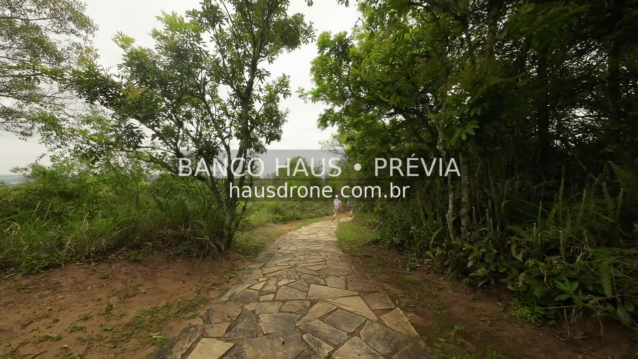 Caminho cercado por árvores — Vila Velha em Ponta Grossa, Paraná.