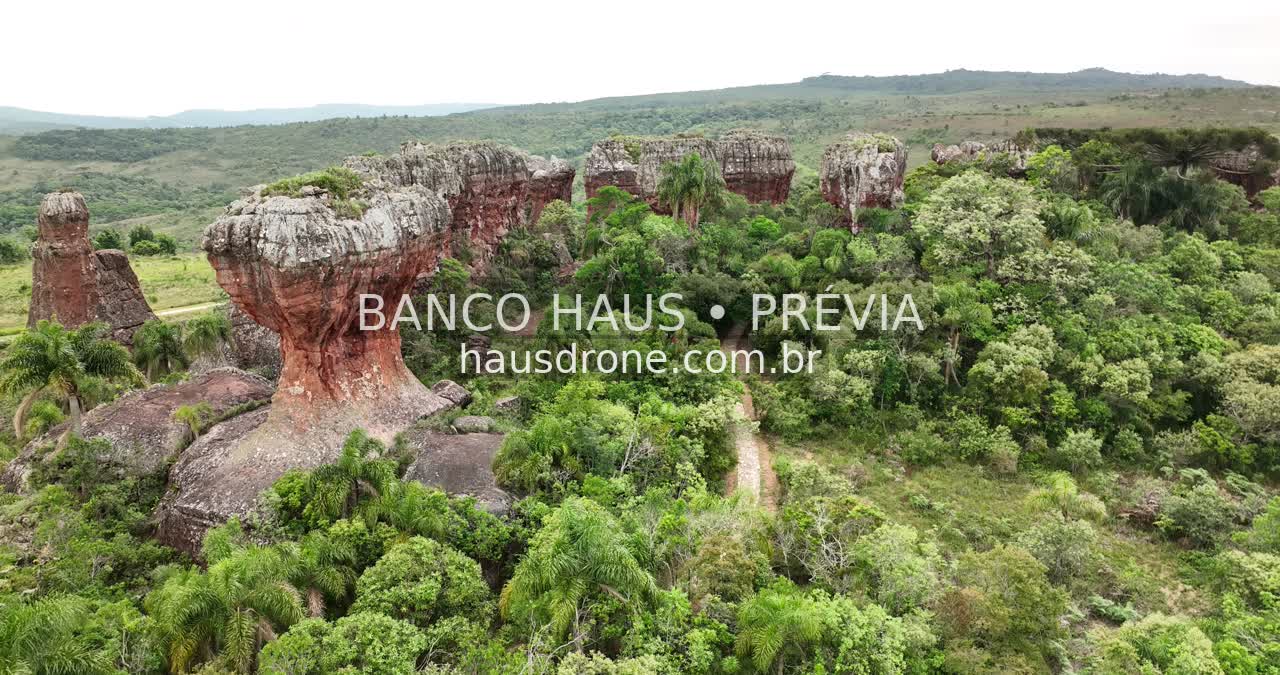 Formações rochosas e vegetação — Vila Velha em Ponta Grossa, Paraná.