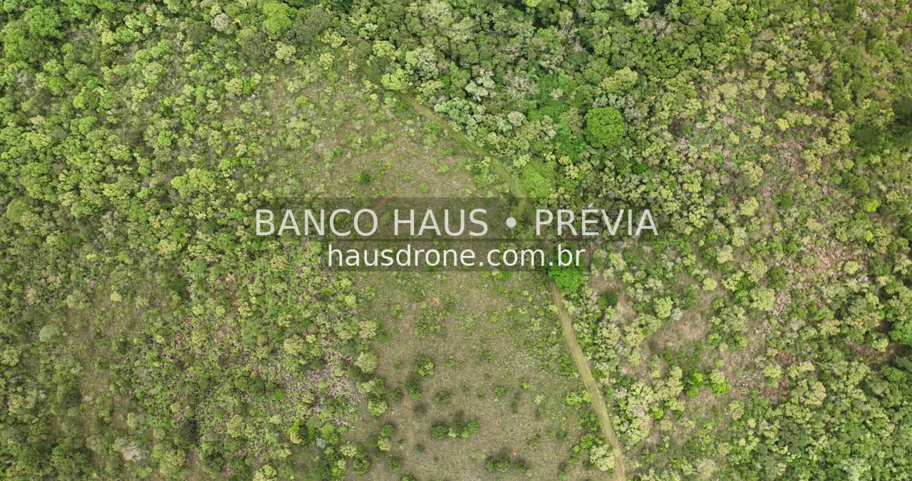 Vegetação e campos naturais — Vila Velha em Ponta Grossa, Paraná.