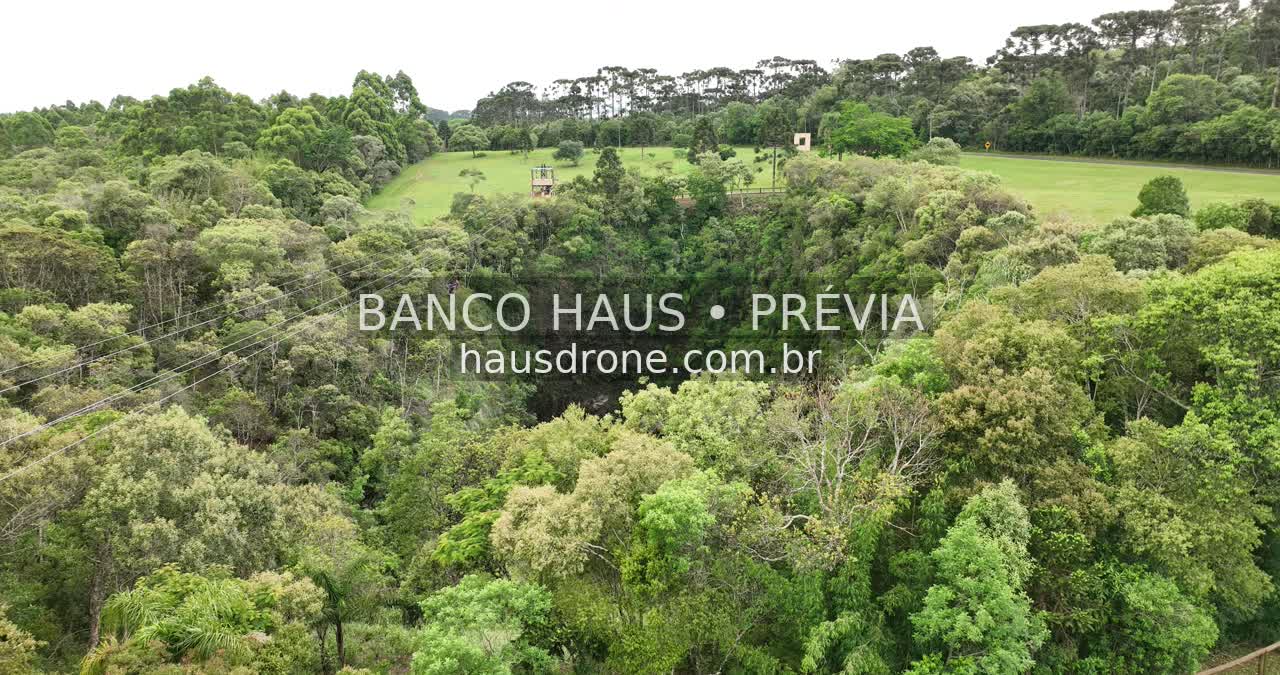 Vegetação e campos naturais — Vila Velha em Ponta Grossa, Paraná.