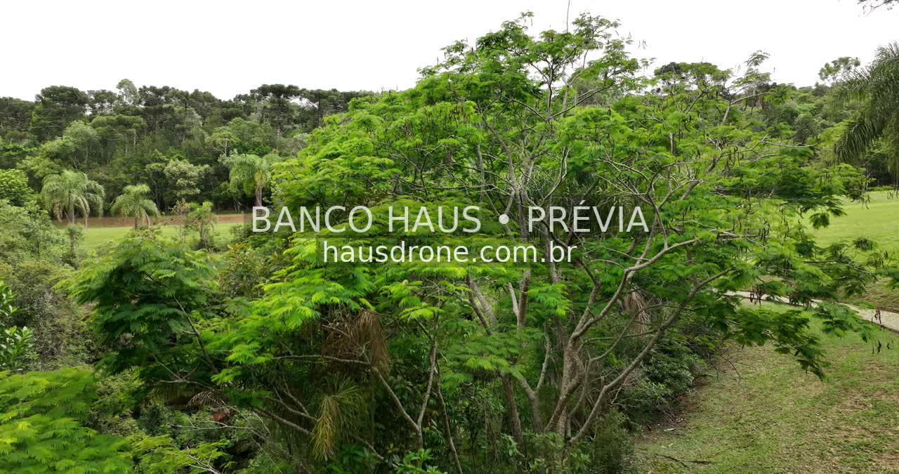 Vegetação e campos naturais — Vila Velha em Ponta Grossa, Paraná.