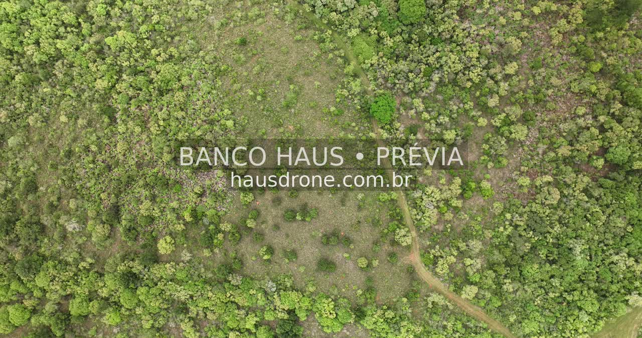 Vegetação e campos naturais — Vila Velha em Ponta Grossa, Paraná.